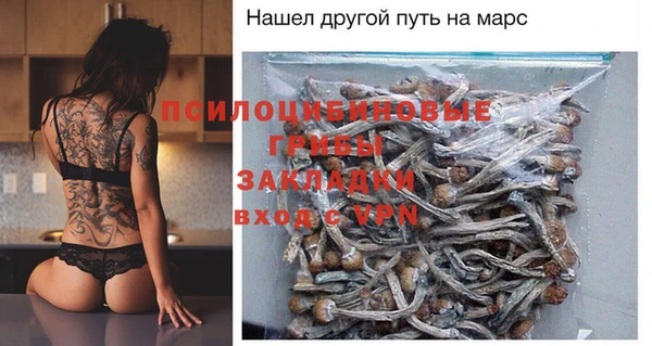 герыч Верхний Тагил