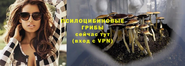 герыч Верхний Тагил